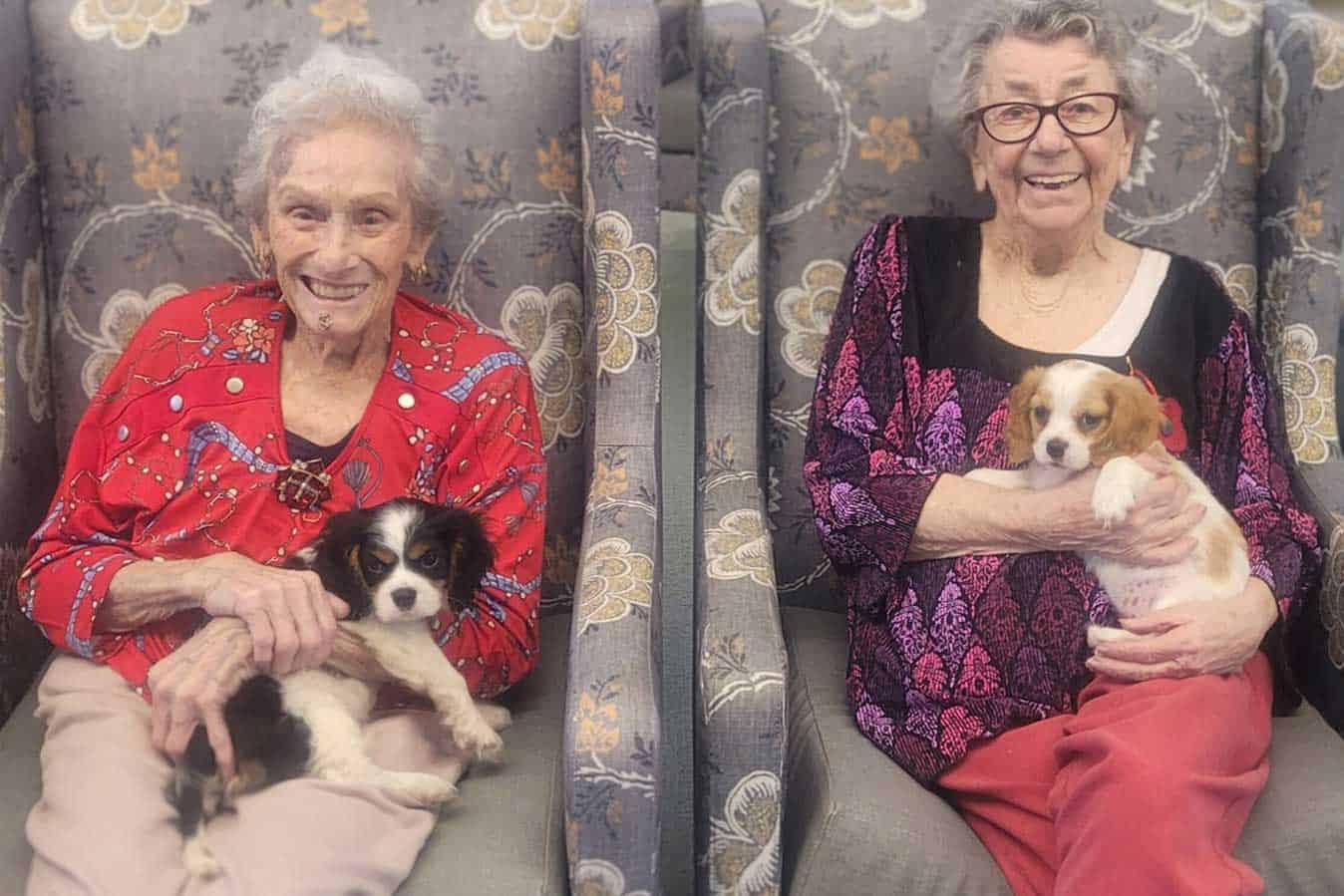 Young pups move into aged care