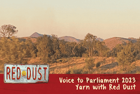 Voice to Parliament Yarn