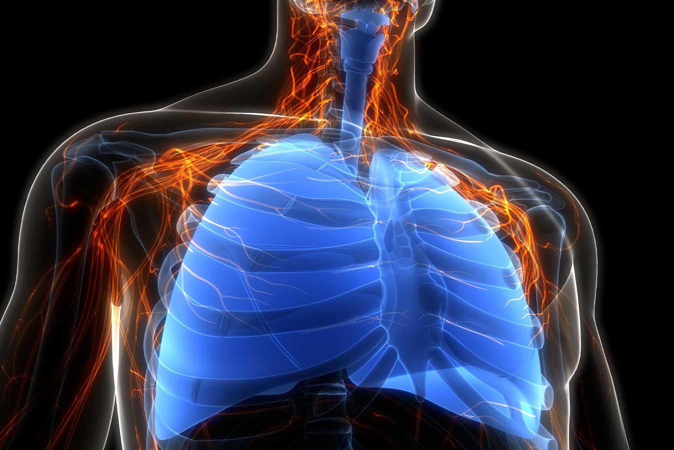 Have your say on the Chronic Obstructive Pulmonary Disease (COPD) Clinical Care Standard